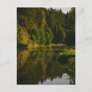 Carte Postale Paysage Naturel Lac Scénario Canal Arbres