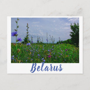 Carte Postale Paysage naturel Paysage rural Champ Biélorussie