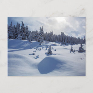 Carte Postale Paysage neigeux