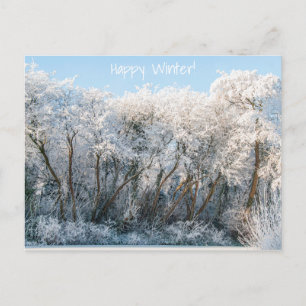 Carte Postale Paysage neigeux Photo hiver