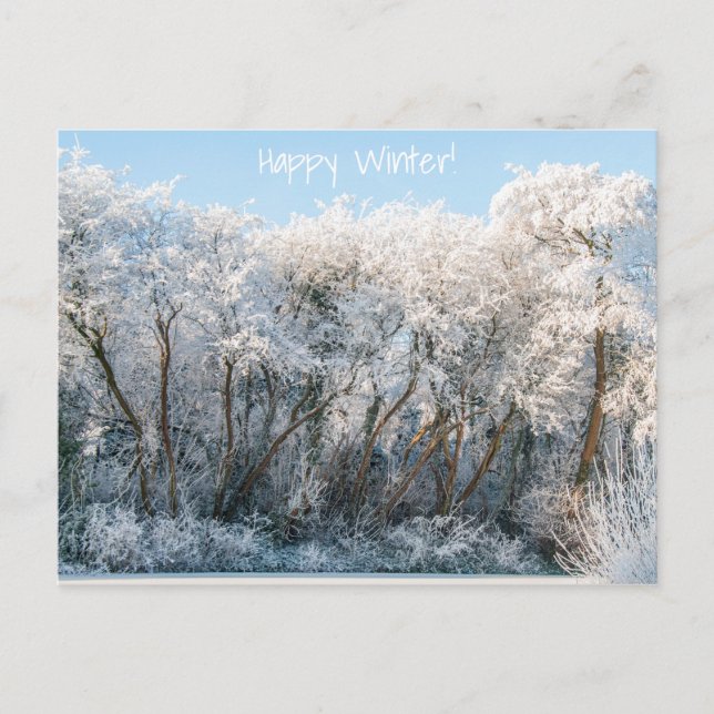 Carte Postale Paysage neigeux Photo hiver (Devant)