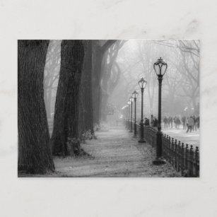 Carte Postale Paysage noir et blanc à Central Park