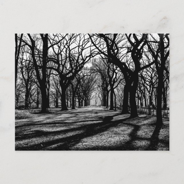 Carte Postale Paysage noir et blanc à Central Park (Devant)