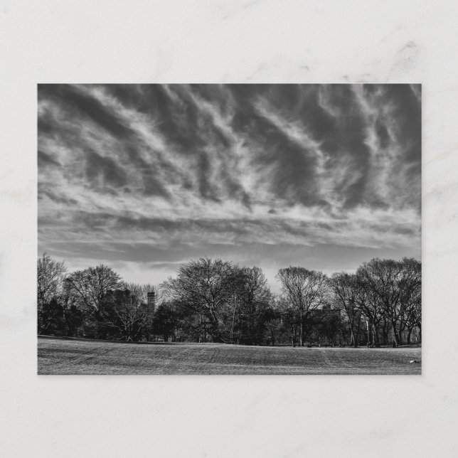 Carte Postale Paysage noir et blanc Photo de Central Park (Devant)