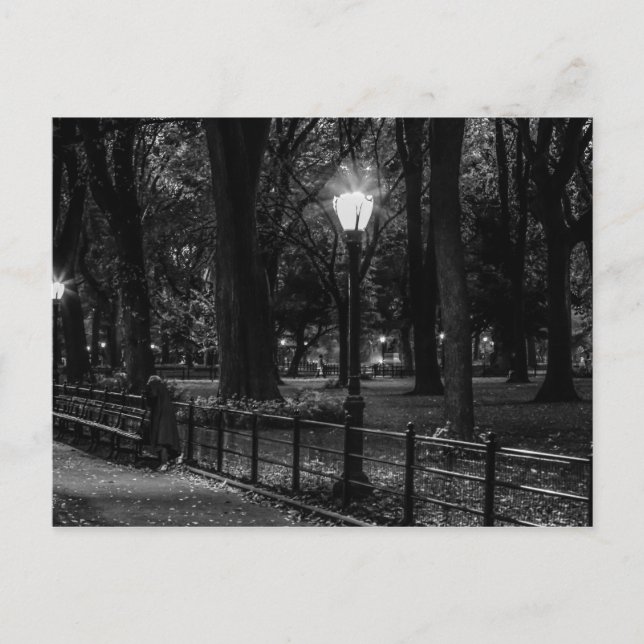 Carte Postale Paysage noir et blanc Photo de Central Park (Devant)