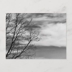 Carte Postale Paysage noir et blanc Photo nature