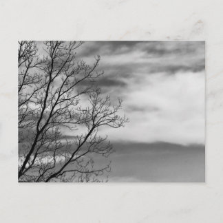 Carte Postale Paysage noir et blanc Photo nature