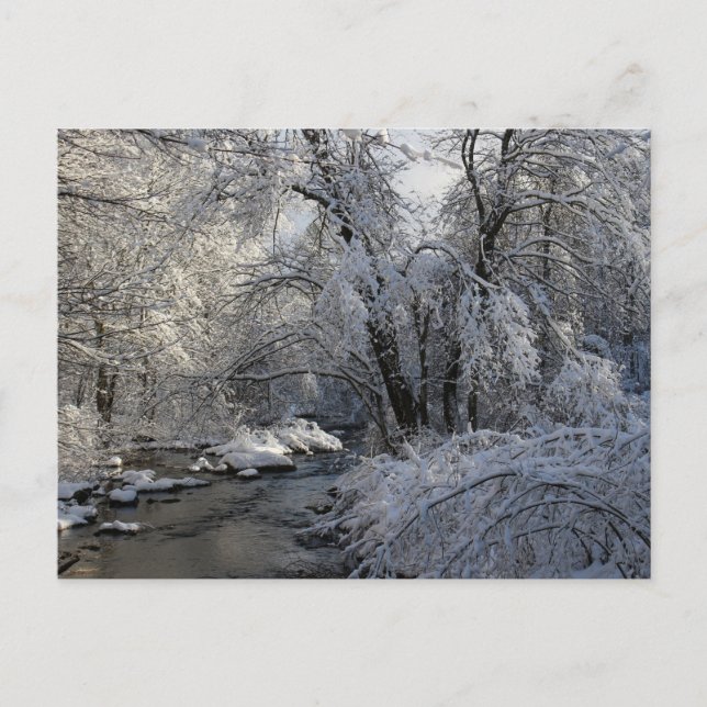 Carte Postale Paysage Pittoresque d'hiver (Devant)
