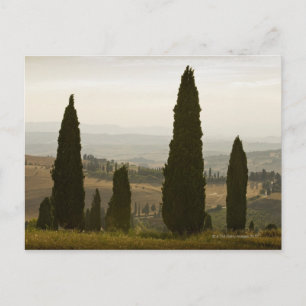 Carte Postale Paysage roulant, Toscane, Italie 2