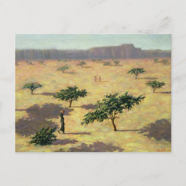 Carte Postale Paysage sahélien Mali 1991 (Devant)