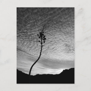 Carte Postale Paysage Sky