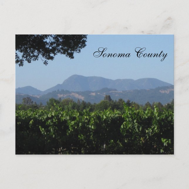 Carte Postale Paysage Sonoma ! (Devant)