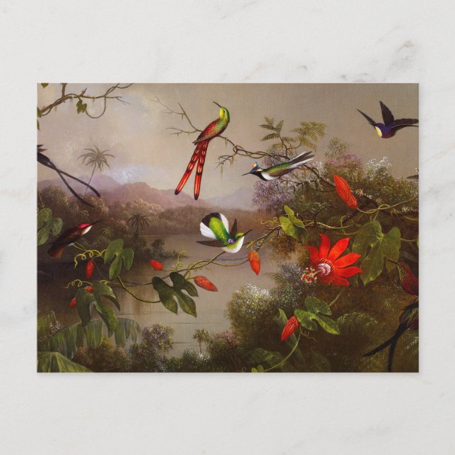 Carte Postale Paysage tropical avec dix colibris (Devant)