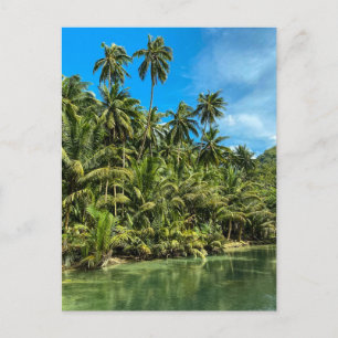 Carte Postale Paysage tropical, philippines, Kawasan falls Cas