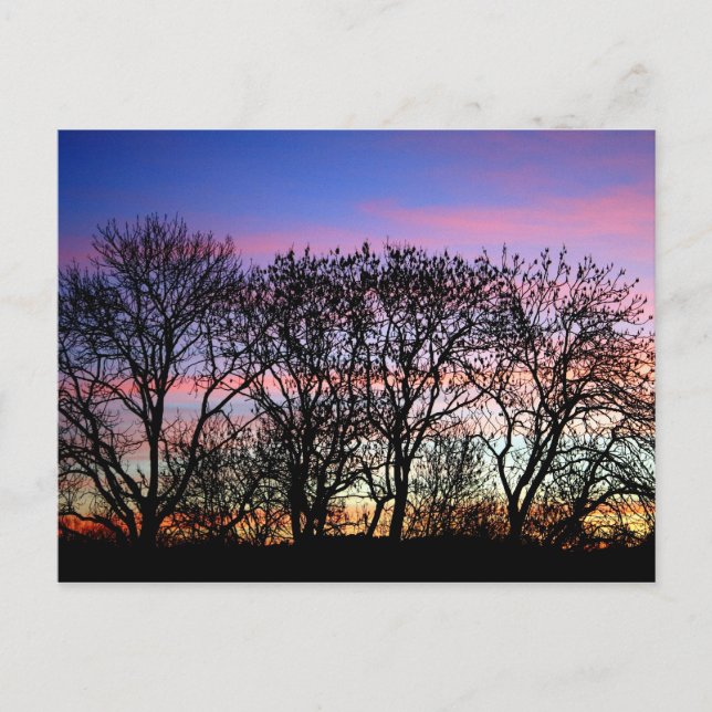 Carte Postale Paysages (Devant)