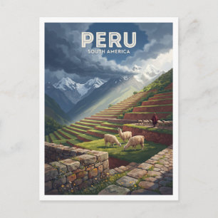 Carte Postale Paysages pastoraux en terrasses dans les Andes pér
