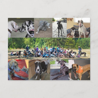 Carte postale PDXDanes