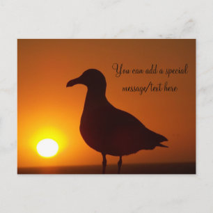 Carte postale Peace_