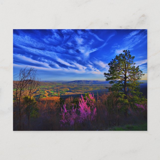 Carte Postale peace in the valley (Devant)