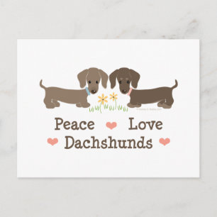 Carte postale Peace Love Dachshunds