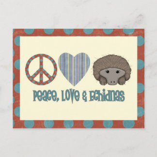 Carte Postale Peace Love Echidnas