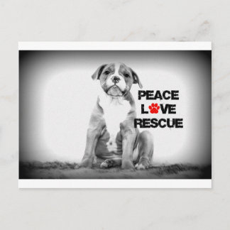 Carte Postale Peace Love Secourt Chien