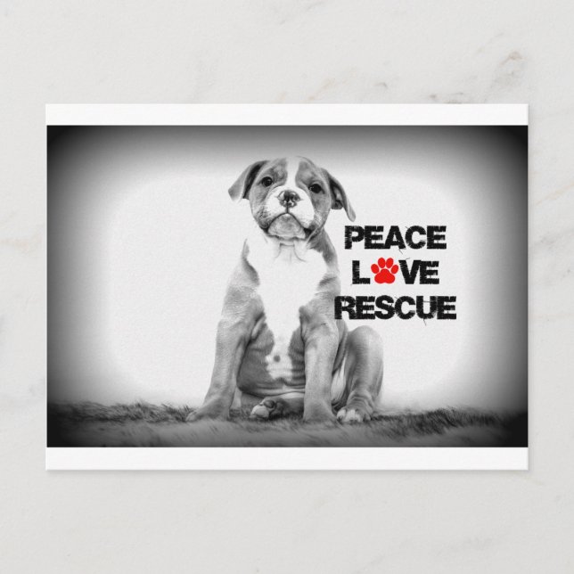 Carte Postale Peace Love Secourt Chien (Devant)