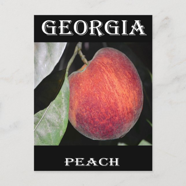 Carte Postale Peach (Devant)
