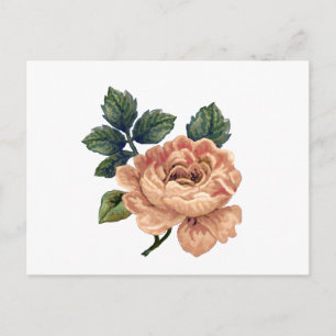 Carte Postale Peach Rose - Vintage Makeover.