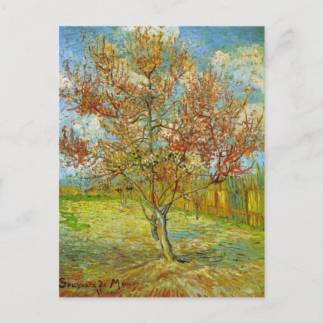 Carte Postale Peach Tree rose en fleurs par Vincent van Gogh (Devant)