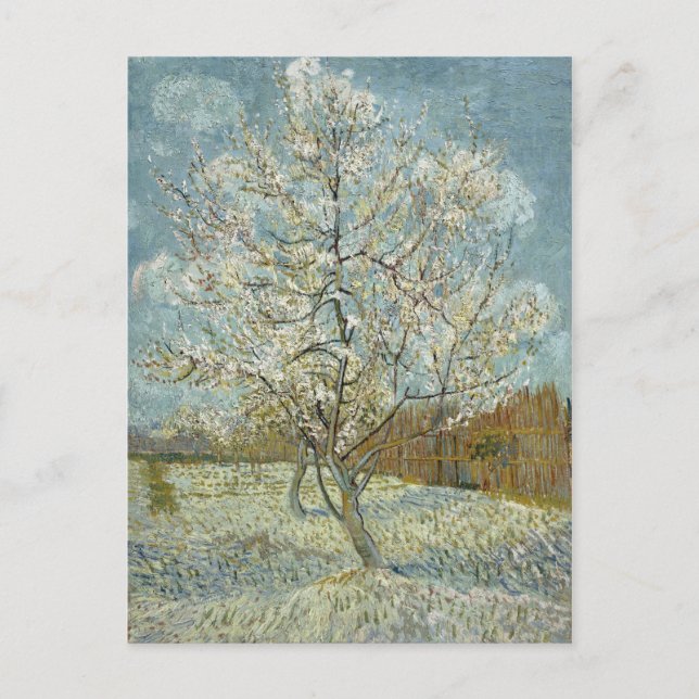 Carte Postale Peach Tree rose par Vincent Van Gogh (Devant)