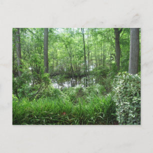 CARTE POSTALE "PEACHTREE CITY, GA"