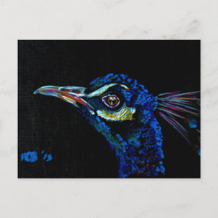 Carte postale Peacock 1