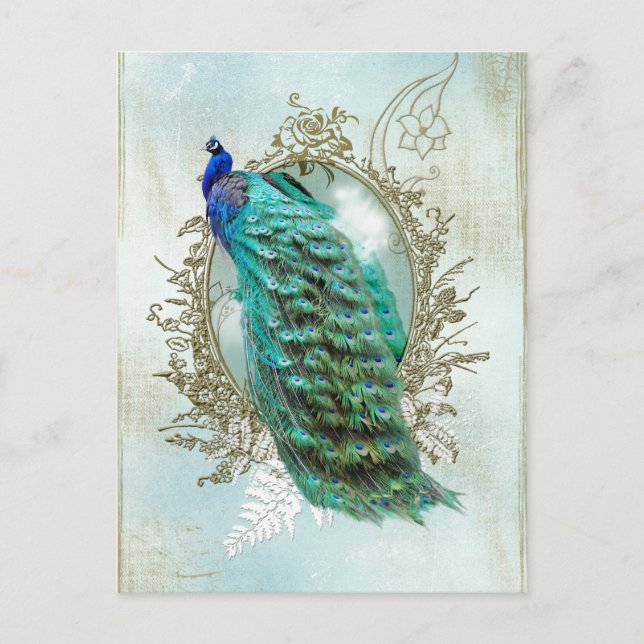 Carte Postale peacock beautiful turquoise vintage shabby bird (Devant)