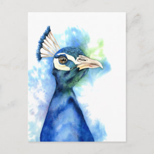 Carte Postale Peacock Bird Aquarelle Art