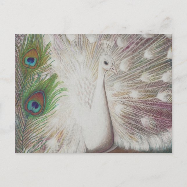 Carte Postale Peacock blanc et Peacock vert Piment art Imprimer (Devant)