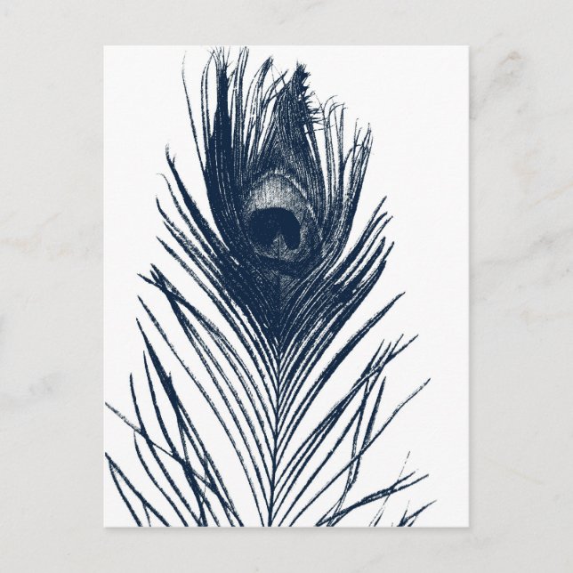 Carte postale Peacock bleu foncé (Devant)