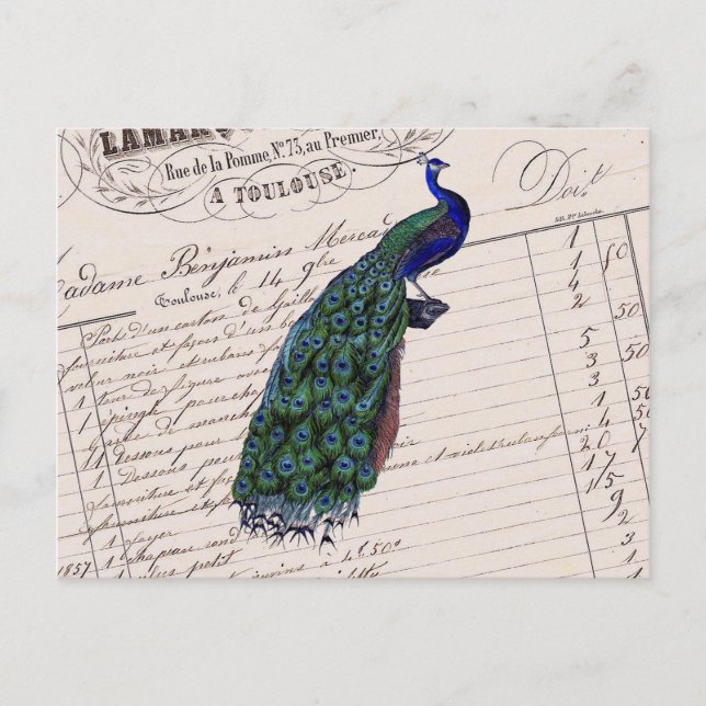 Carte Postale Peacock bleu vintage français chic (Devant)