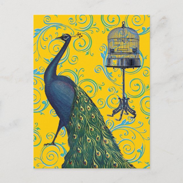 Carte Postale Peacock & Cage vintage (Devant)