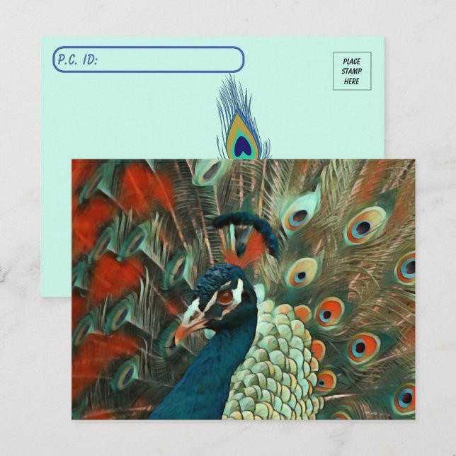 Carte postale Peacock colorée (Devant / Derrière)