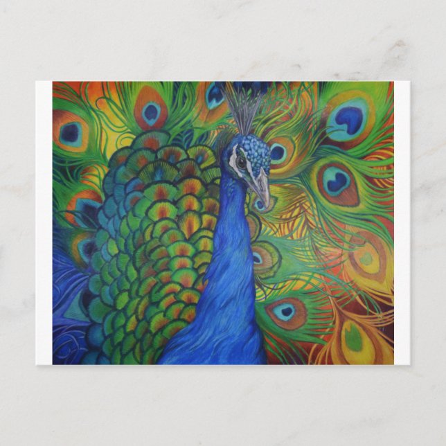 Carte Postale Peacock Drawing (Devant)