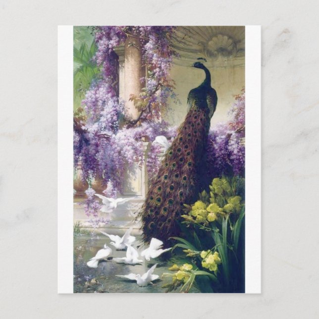 Carte Postale Peacock et colombes blanches peint des oiseaux (Devant)