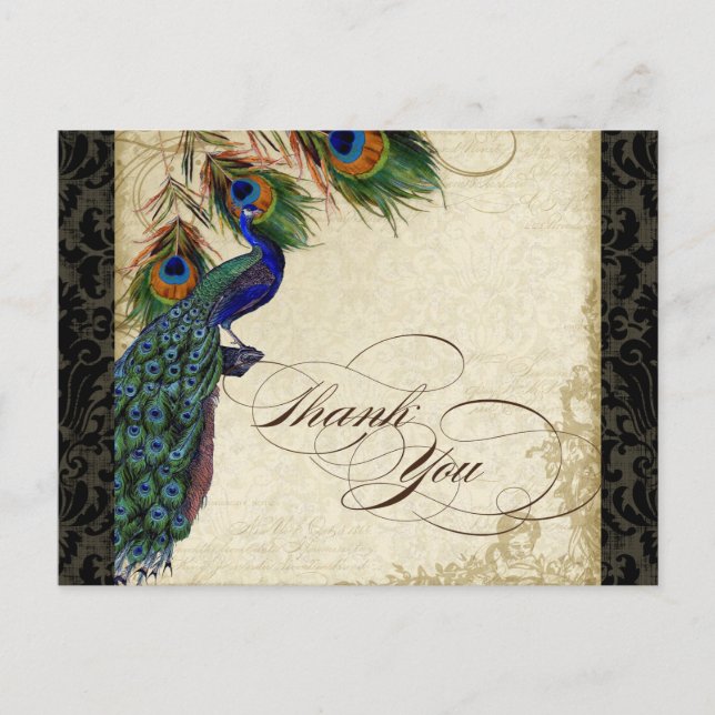 Carte Postale Peacock & Feather Formel Merci Note Tan Noir (Devant)