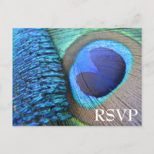 Carte postale Peacock Feather RSVP