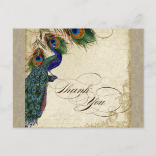 Carte Postale Peacock & Feathers Formal Merci Note Aqua Blue