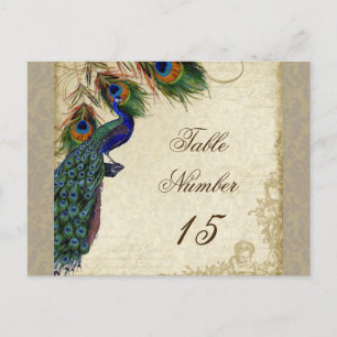 Carte Postale Peacock & Feathers Numéros de tableau des Mariages