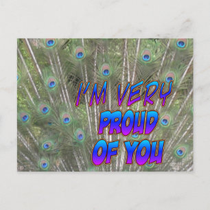 Carte Postale Peacock Feathers Proud Postcard