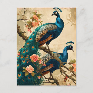 Carte postale Peacock Splendor vintage