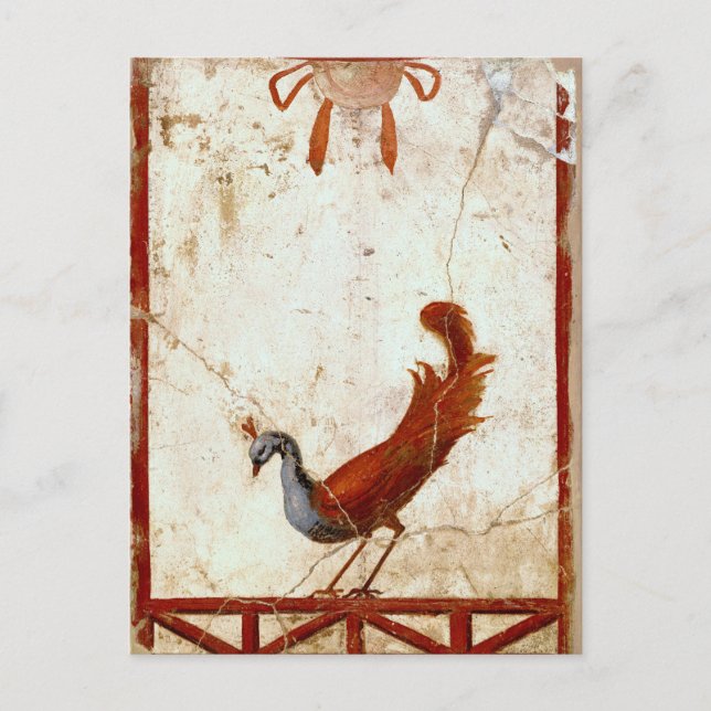 Carte Postale Peacock sur Fresco Ancienne peinture romaine antiq (Devant)