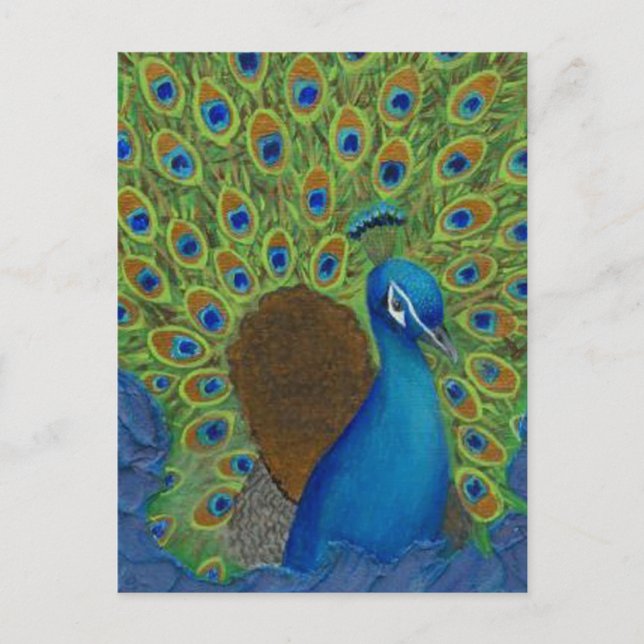 Carte Postale Peacock, Tirez Vos Plumes (Devant)